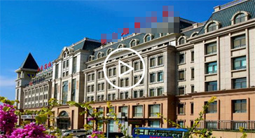 Go 语言 Web 应用开发框架，Iris、Gin、Echo，哪一个更适合大型项目？